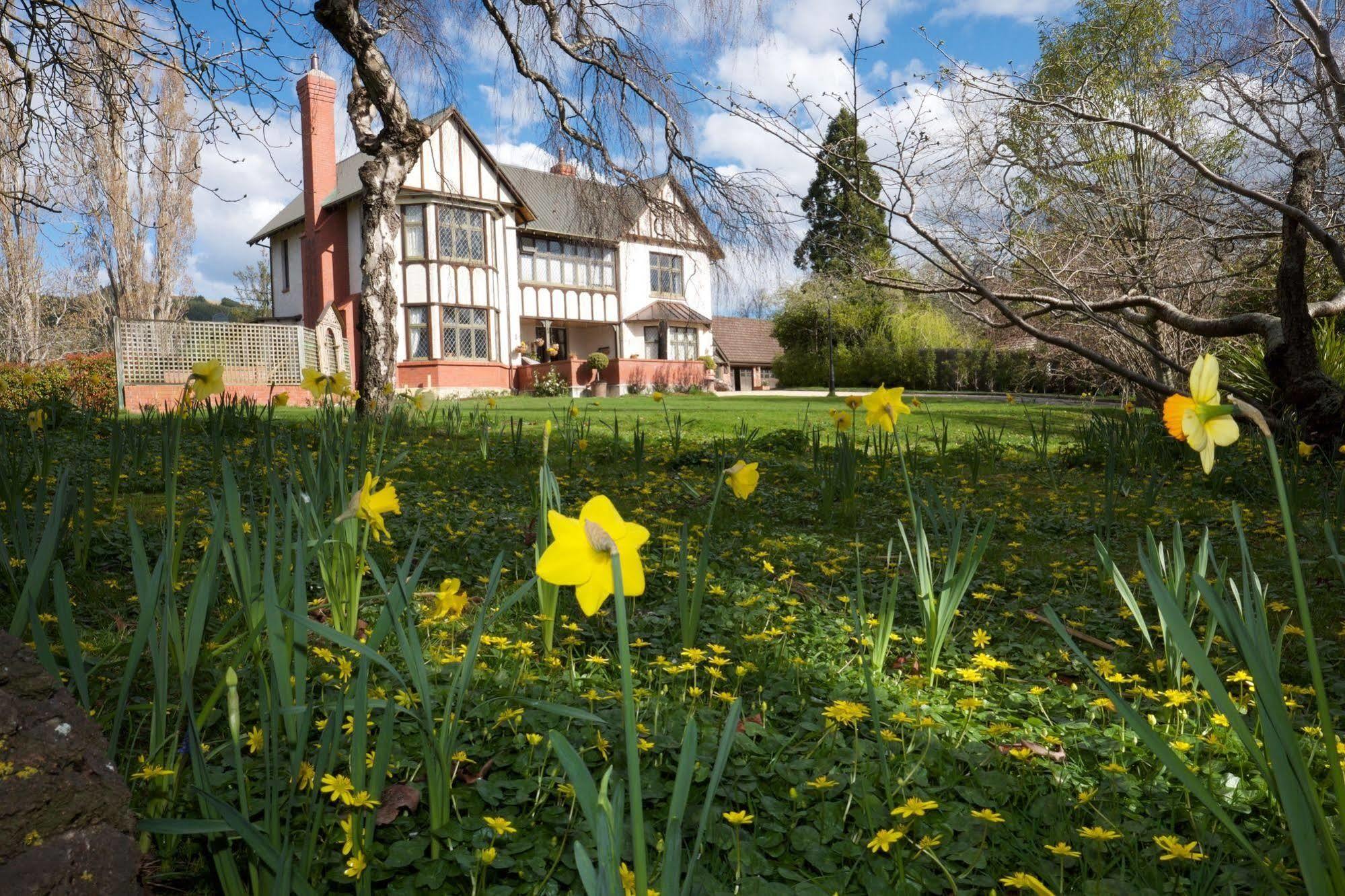 The Birches Bed & Breakfast Mosgiel Exteriér fotografie